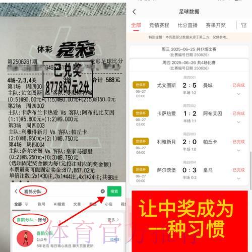 世界杯竞猜心得分享：成为预测高手的进阶之路